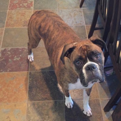 mubns2's profile picture. 