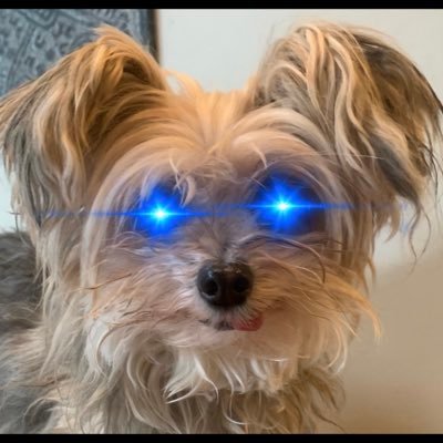 growop5's profile picture. 