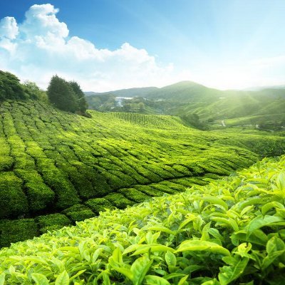 gooble3's profile picture. ,,,,