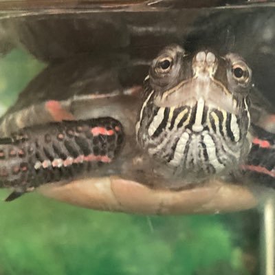 Jeffrey_Farris's profile picture. 