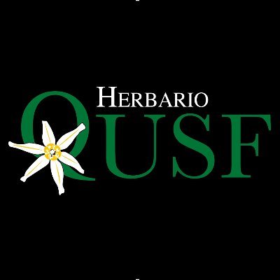 El Herbario de Botánica Económica del Ecuador fue fundado en 1995 por profesores e investigadores del COCIBA de la USFQ.
FB: @USFQHerbario
IG: @usfq_herbario