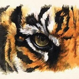 mohit007's profile picture. Be water, my friend.