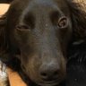 blerner823's profile picture.
