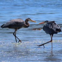 theunretired (@theunretired) 's Twitter Profile Photo