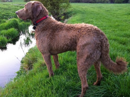 SiPottsy's profile picture. 