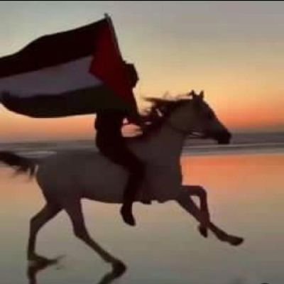 Henrysidik07's profile picture. Belajar bersama