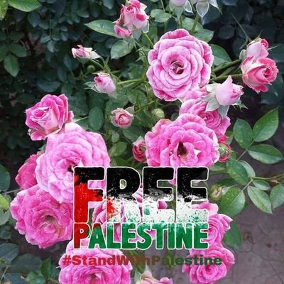 Ruby stands with🇵🇸さんのプロフィール画像