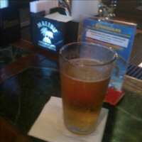 bbalonis's profile picture. I bleed purple and orange. Go O's ! Go Ravens! Enjoy good brew. Married to my best friend.