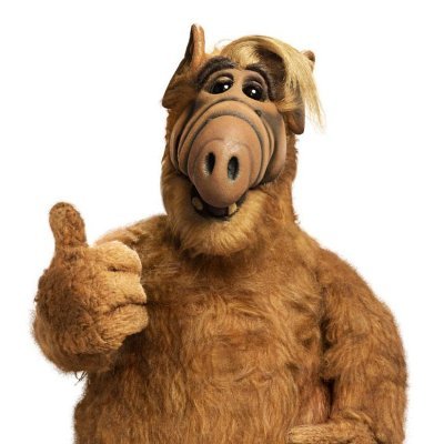 gecko_officiel's profile picture. De tout ceux qui n'ont rien à dire, les plus agréables sont ceux qui se taisent ! (Coluche)