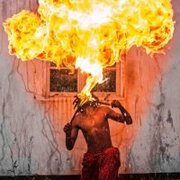 Fire Starter (@firesta80809671) 's Twitter Profile Photo Fire Starter (@firesta80809671) 's Twitter Profile Photo