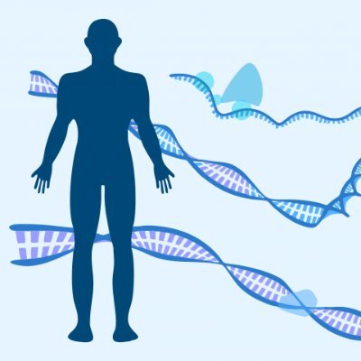 Human Molecular Genetics Lab Profile