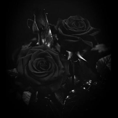 yaaanaaa_625's profile picture. おたく卒業しました