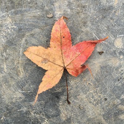 dereKTan556's profile picture. Military Enthusiast | Mechanical Engineering Graduate