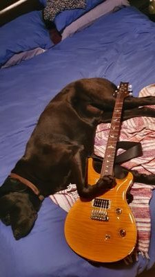 ASX stocks (micro's). Guitar player. Phish-Phan, AFL lover.
#SoundCloud
https://t.co/zBP0vGpCU0