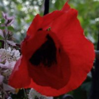 Sevde (@sevde95440626) 's Twitter Profile