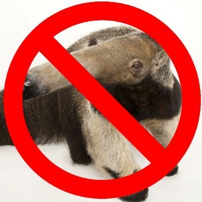 Anteater hate page, because they just suck and are not at all poggers. If I was an anteater I would never show my face to the world.

(They/Them)