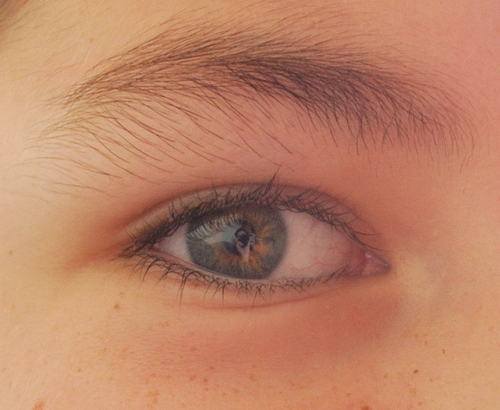 orrico_mario's profile picture. 