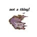 not a thing! records (@thing_records) Twitter profile photo not a thing! records (@thing_records) Twitter profile photo
