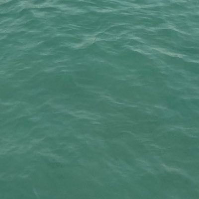 chubbyboy4444's profile picture. 