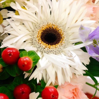 wkasmachi's profile picture. 高知のDさんと香川のNさん/SMAP/ 新選組！と史実/ラジオ投稿 等々。裏返りでAちゃん。実況注意。※フォローは同志様のみでお願いします。また、私的にフォロー関係調整中のため、ご挨拶いただいてもフォロバできたりできなかったりします。現在、応援はできる範囲で母業中。低浮上です。