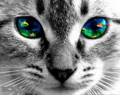 nowfor2's profile picture. http://t.co/9fZUxLzM9p