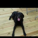 Mark Stringer - @SNR_Stringer - Twitter