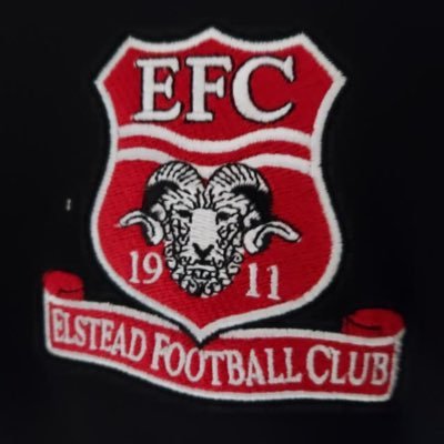 Elstead football club