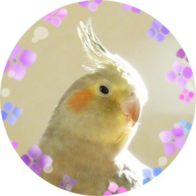 鳥が好きです。ほかの動物や虫や植物も好きです。オカメインコ（19歳♀）とセキセイインコ（11歳♂）を飼っています。アキクサインコ（10歳🌈♀）はお空に帰りました。鳥、ガーデニング、読書、マンガ、茶道、手作り、写真、ウクレレ、ドールが趣味の主婦です。フィンランド語勉強中。