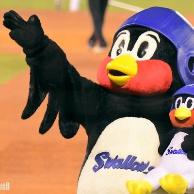 KouTnb's profile picture. しゃかいじんななねんめ　大阪と神戸と京都で生きてきたのにヤクルトファン@swallow_KouTnb