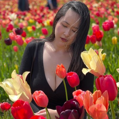 Aoumie's profile picture. Flying is simple. Not hidding the ground is hard