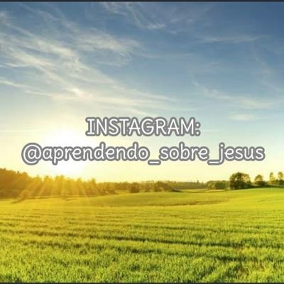 Página da Fé Inteligente 

Para alcançar o sucesso em tudo, busque em 1° Lugar o Reino dos Céus! 

JESUS é a solução para qualquer Problema!