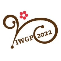IWGP (@iwgp_collective) 's Twitter Profile Photo IWGP (@iwgp_collective) 's Twitter Profile Photo