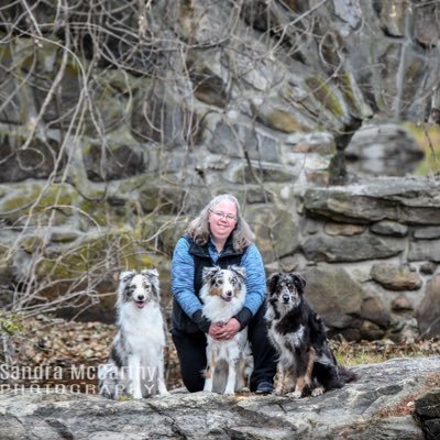arcticfox16's profile picture. Instructor, coach, dog trainer, dog sports competitor, nature lover, curious mind.  Instagram @allagashaussies Facebook @ariane16