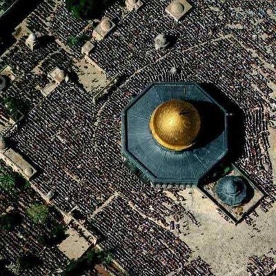 ayaelshorbagy15's profile picture. وَٱلَّذِینَ جَـٰهَدُوا۟ فِینَا لَنَهۡدِیَنَّهُمۡ سُبُلَنَاۚ وَإِنَّ ٱللَّهَ لَمَعَ ٱلۡمُحۡسِنِینَ  💪🏻💚
