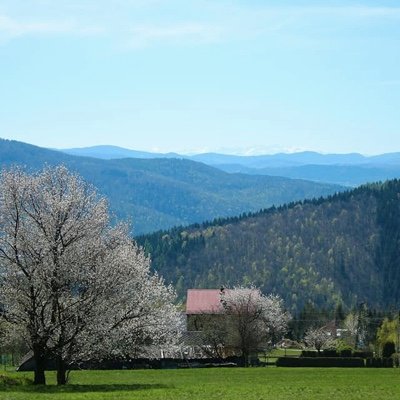 JordiEixample's profile picture. 