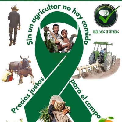 Soraya06229501's profile picture. 