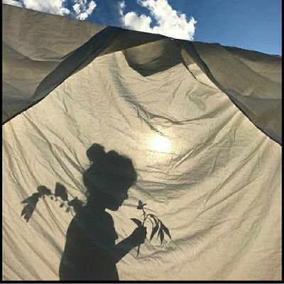 Ravneet_kaur07's profile picture. 🦅