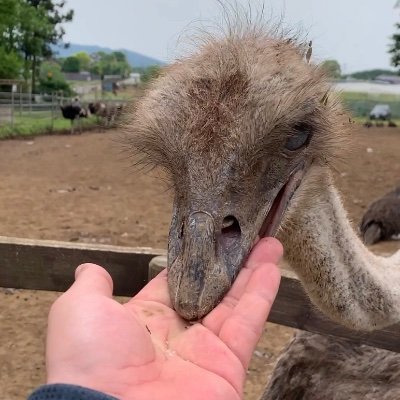 ヲタあきさんのプロフィール画像