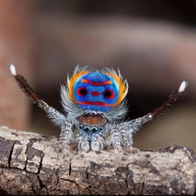 MM60287919's profile picture. Peaking around the social web here and there.