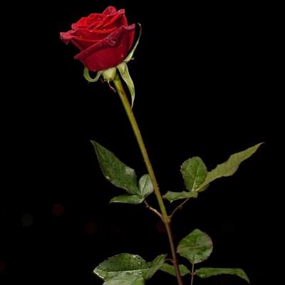 d_dudem's profile picture. real time computing and control engineer