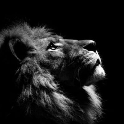 tron_x7's profile picture. 