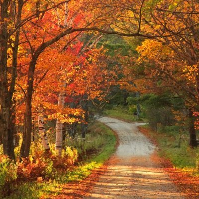 amishaverma_'s profile picture. I may be bad at maths, but today, even my teacher cannot calculate my income tax.