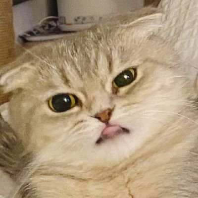 Fiting31273760's profile picture. คามุยยยย:-;;