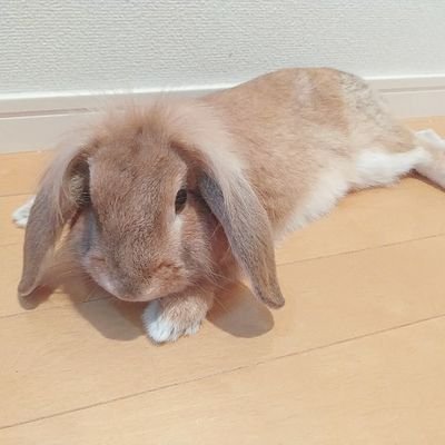 sBL3hu9M76KCoaE's profile picture. 最近人生の夏休みに入って配達ほとんどしてましぇん😂 /そろそろ中級者🧐? /白のPCXでご配達🏍 / お勉強のためにたまに無言フォロー失礼します🧬 / 2020/1月〜バイト感覚で仕事終わりに始める🤩 / まだまだ都会は迷う田舎っぺ🐣 / 大学生みたいな格好でとろとろバイク乗ってたら私かも👼