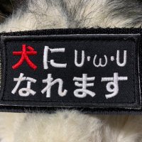 シノゴロウ Type20 U･ω･U (@candybjornunge) 's Twitter Profile