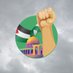 Palestine Electronic Forces (@PEFMISSIONS) Twitter profile photo