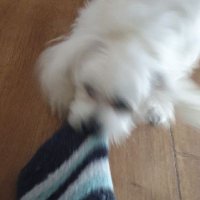 Kuba (@kubachucks) 's Twitter Profile Photo Kuba (@kubachucks) 's Twitter Profile Photo