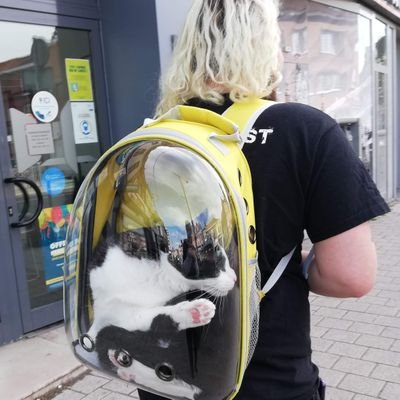 maitregobelin's profile picture. Bassiste des Pillows, c'est tout. Ah non c'est pas tout ; batteur dans Crow's Nest Dwellers