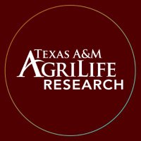 Texas A&M AgriLife Research(@txresearch) 's Twitter Profile Photo