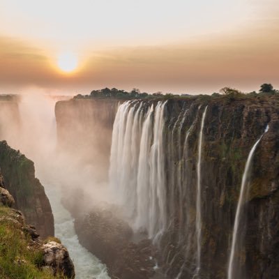 Asaf41795299's profile picture. 